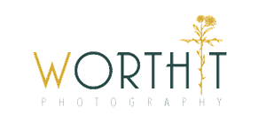 Worthit Logo